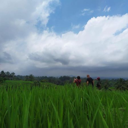 ג'טילווי Tegal Jero Homestay מראה חיצוני תמונה
