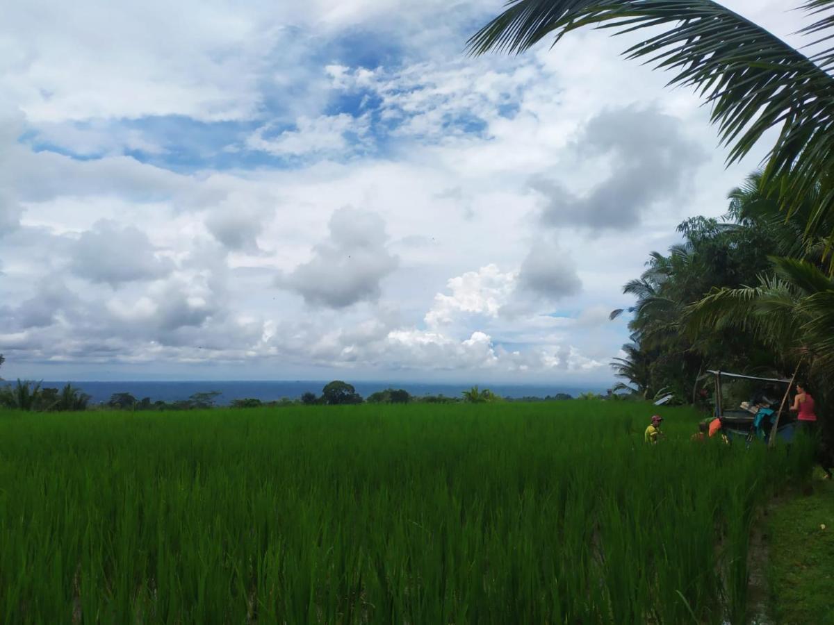 ג'טילווי Tegal Jero Homestay מראה חיצוני תמונה
