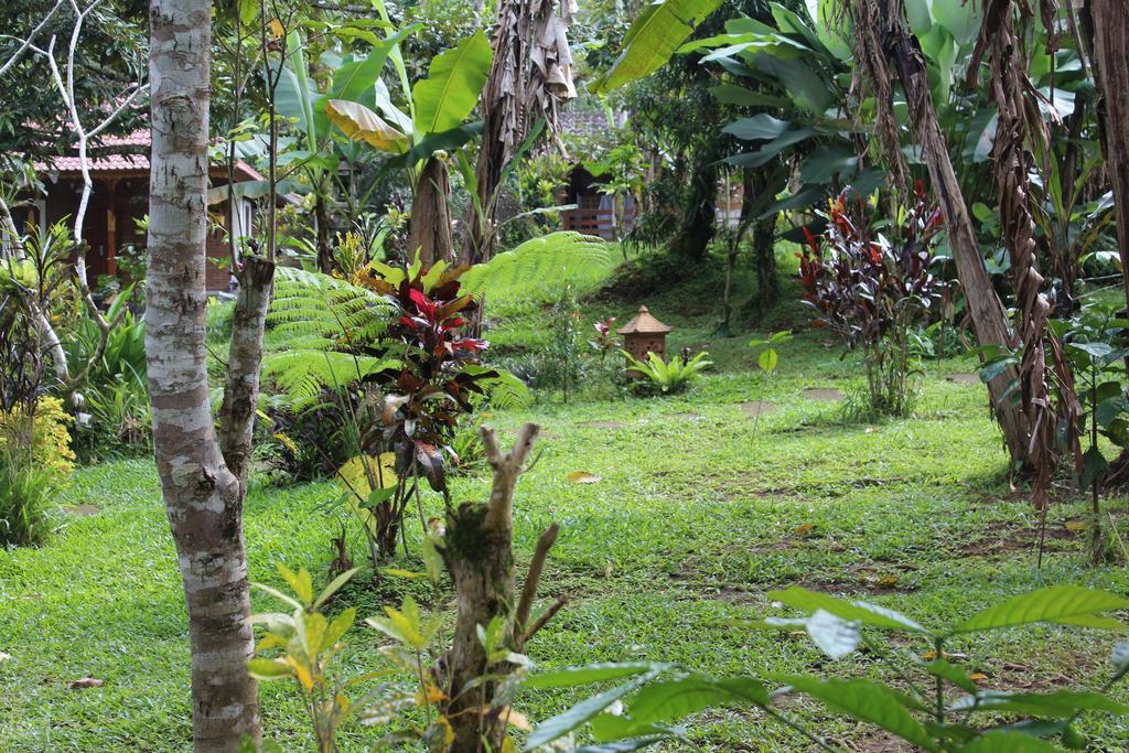 ג'טילווי Tegal Jero Homestay מראה חיצוני תמונה