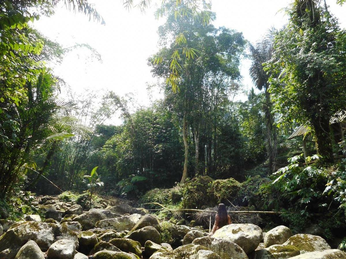 ג'טילווי Tegal Jero Homestay מראה חיצוני תמונה