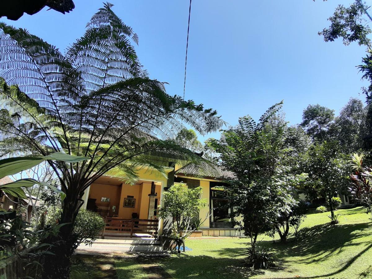 ג'טילווי Tegal Jero Homestay מראה חיצוני תמונה